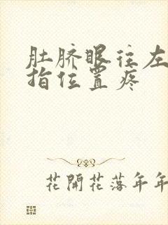 肚脐眼往左边三指位置疼封面