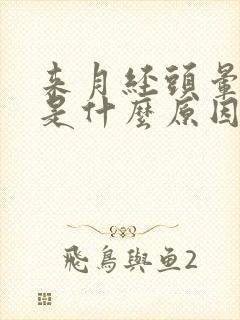 来月经头晕头疼是什么原因引起的怎么治疗封面