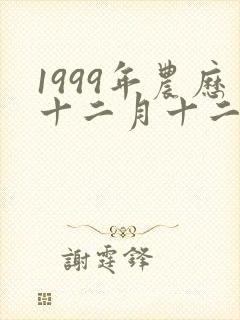 1999年农历十二月十二是什么命