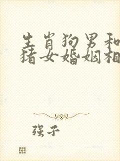 生肖狗男和生肖猪女婚姻相配吗