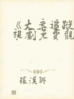 《大案追踪》电视剧免费观看