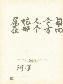 属蛇人今日财运在哪个方向