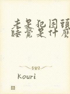 老是犯困头晕想睡觉是什么原因封面