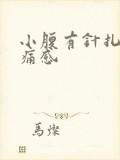 小腹有针扎的刺痛感封面
