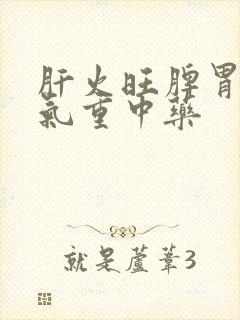 肝火旺脾胃虚湿气重中药