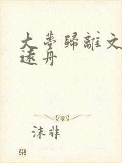 大梦归离文潇赵远舟