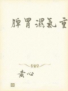 脾胃湿气重特征