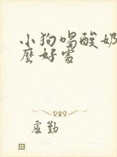 小狗喝酸奶有什么好处封面