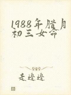 1988年腊月初三女命
