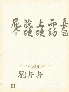 屁股上面长了一个硬硬的包很疼