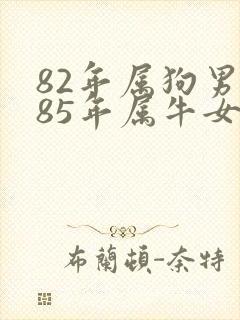 82年属狗男与85年属牛女婚配封面