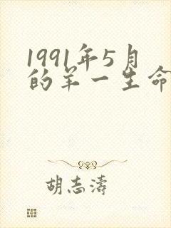 1991年5月的羊一生命运如何