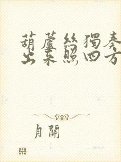 葫芦丝独奏太阳出来照四方歌曲谱