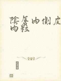 阴唇内侧皮肤小肉粒封面