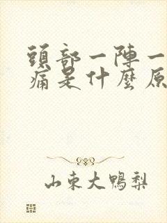 头部一阵一阵疼痛是什么原因?