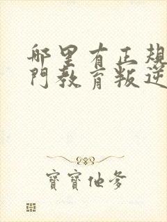 哪里有正规的专门教育叛逆小孩的学校