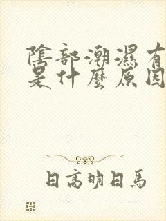 阴部潮湿有点痒是什么原因封面