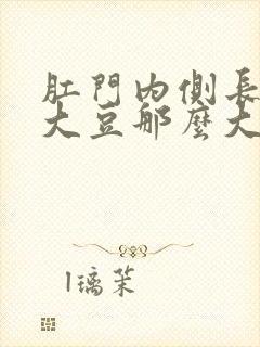 肛门内侧长了个大豆那么大的疙瘩