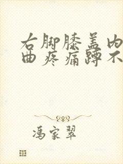 右脚膝盖内侧弯曲疼痛蹲不了