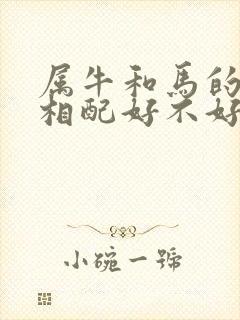 属牛和马的婚姻相配好不好