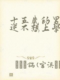 十五岁的男孩叛逆不想上学怎么办封面