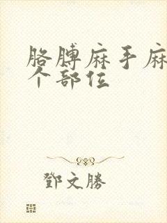 胳膊麻手麻按哪个部位