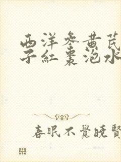 西洋参黄芪枸杞子红枣泡水喝的功效