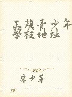 正规青少年叛逆学校地址