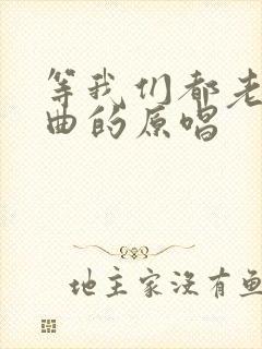 等我们都老了歌曲的原唱