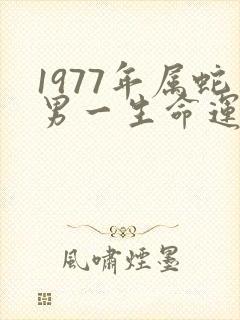 1977年属蛇男一生命运怎么样