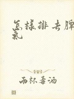 怎样排去脾胃湿气封面