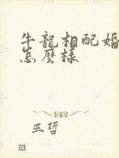 牛龙相配婚姻会怎么样