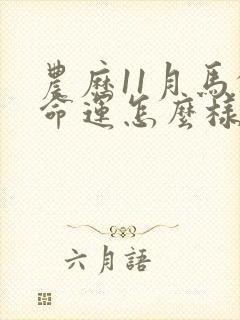 农历11月马的命运怎么样