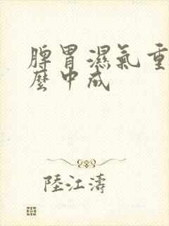 脾胃湿气重吃什么中成