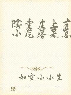 阴囊皮上有很多小疙瘩是怎么回事