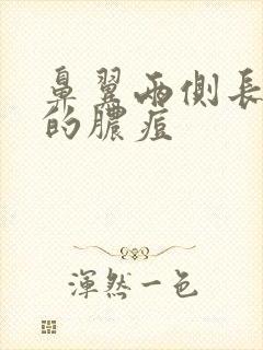 鼻翼两侧长白色的脓痘封面