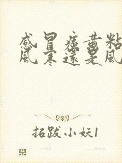 感冒痰黄粘稠是风寒还是风热