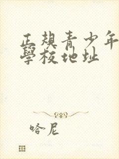 正规青少年叛逆学校地址封面