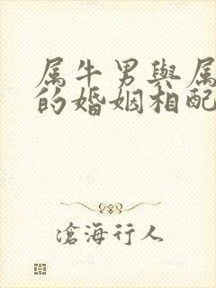 属牛男与属龙女的婚姻相配吗