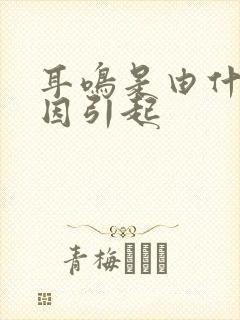 耳鸣是由什么原因引起