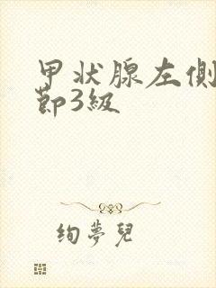 甲状腺左侧叶结节3级封面