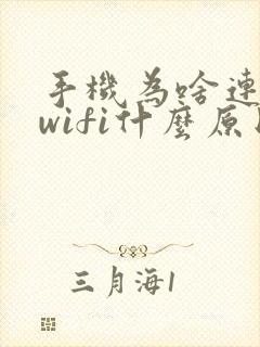 手机为啥连不上wifi什么原因