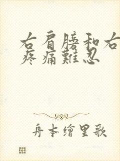 右肩膀和右胳膊疼痛难忍