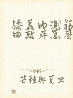 膝盖内测筋疼弯曲就疼怎么办