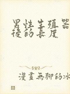 男性生殖器勃起后的长度封面