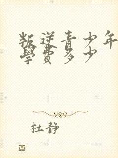 叛逆青少年学校学费多少