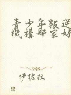 青少年叛逆培训机构哪家好封面