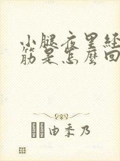 小腿夜里经常抽筋是怎么回事