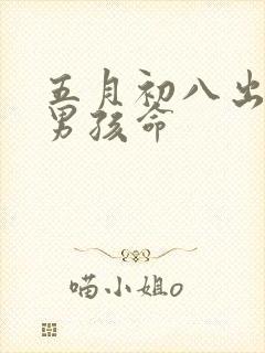 五月初八出生的男孩命