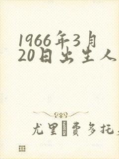 1966年3月20日出生人命运